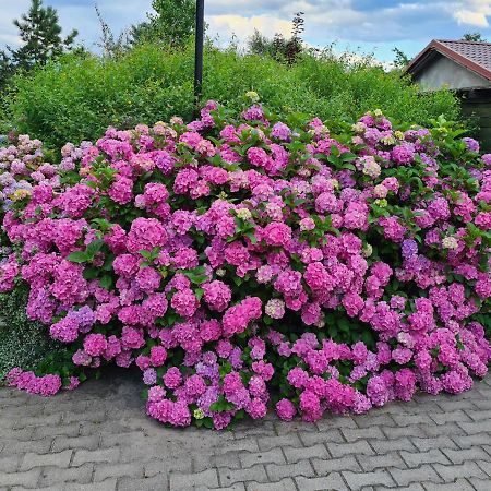 Dworek Sw.Antoniego Slawutowo Dış mekan fotoğraf
