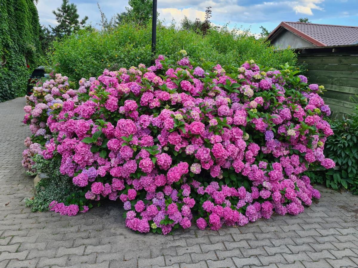 Dworek Sw.Antoniego Slawutowo Dış mekan fotoğraf